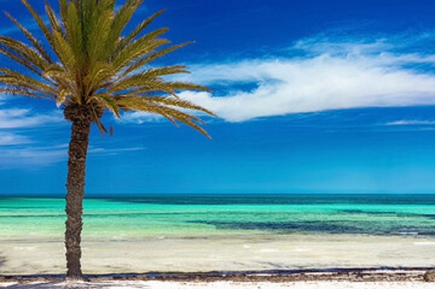 Djerba - Afrički Karibi