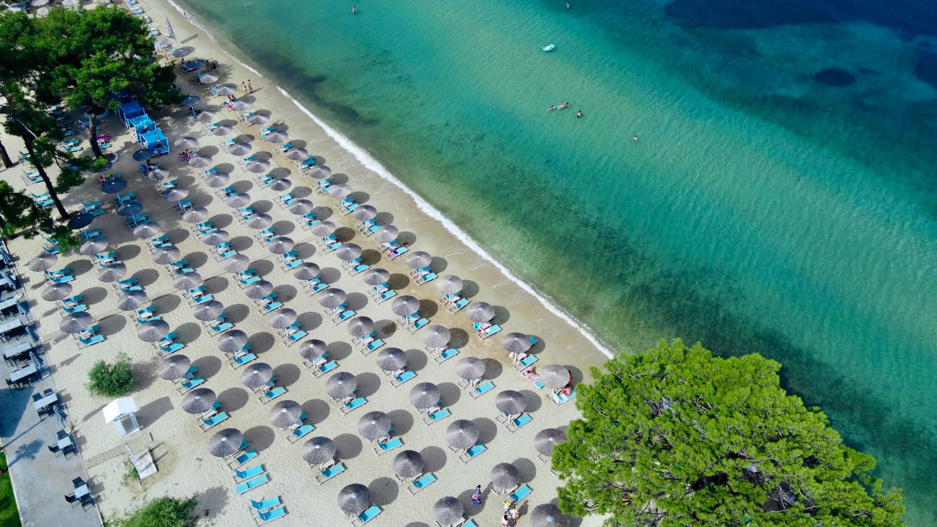 Olympic Beach
